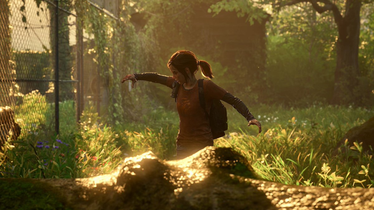 xCaliburStudios's tweet photo. A Ray of Hope☀️ #EllieFriday #FocusFriday 

#TheLastofUsPartI #TLOUVP #VirtualPhotography #VPRT #WorldofVP #LandofVP #VGPUnite #ThePhotoMode #ArtisticofSociety #VPUnityHub #ZarnGaming #WIGVP #QZVP https://t.co/wmfphaSE5J