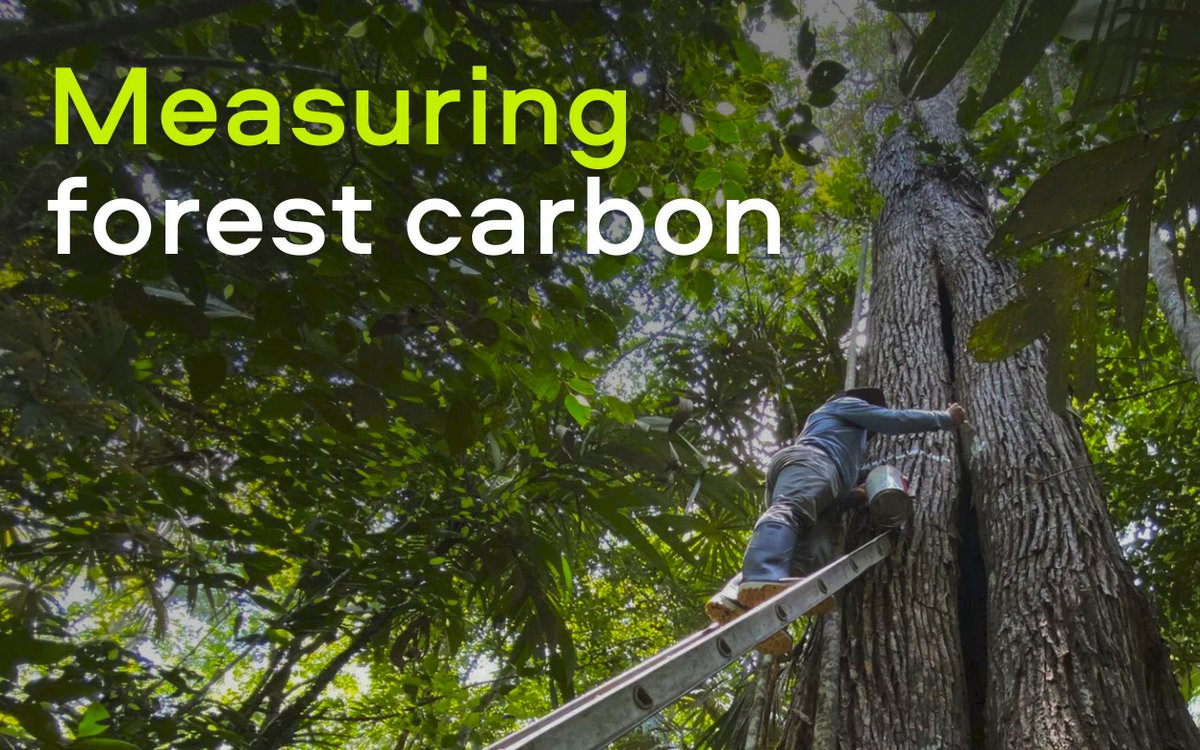 Miro Demol tweet media