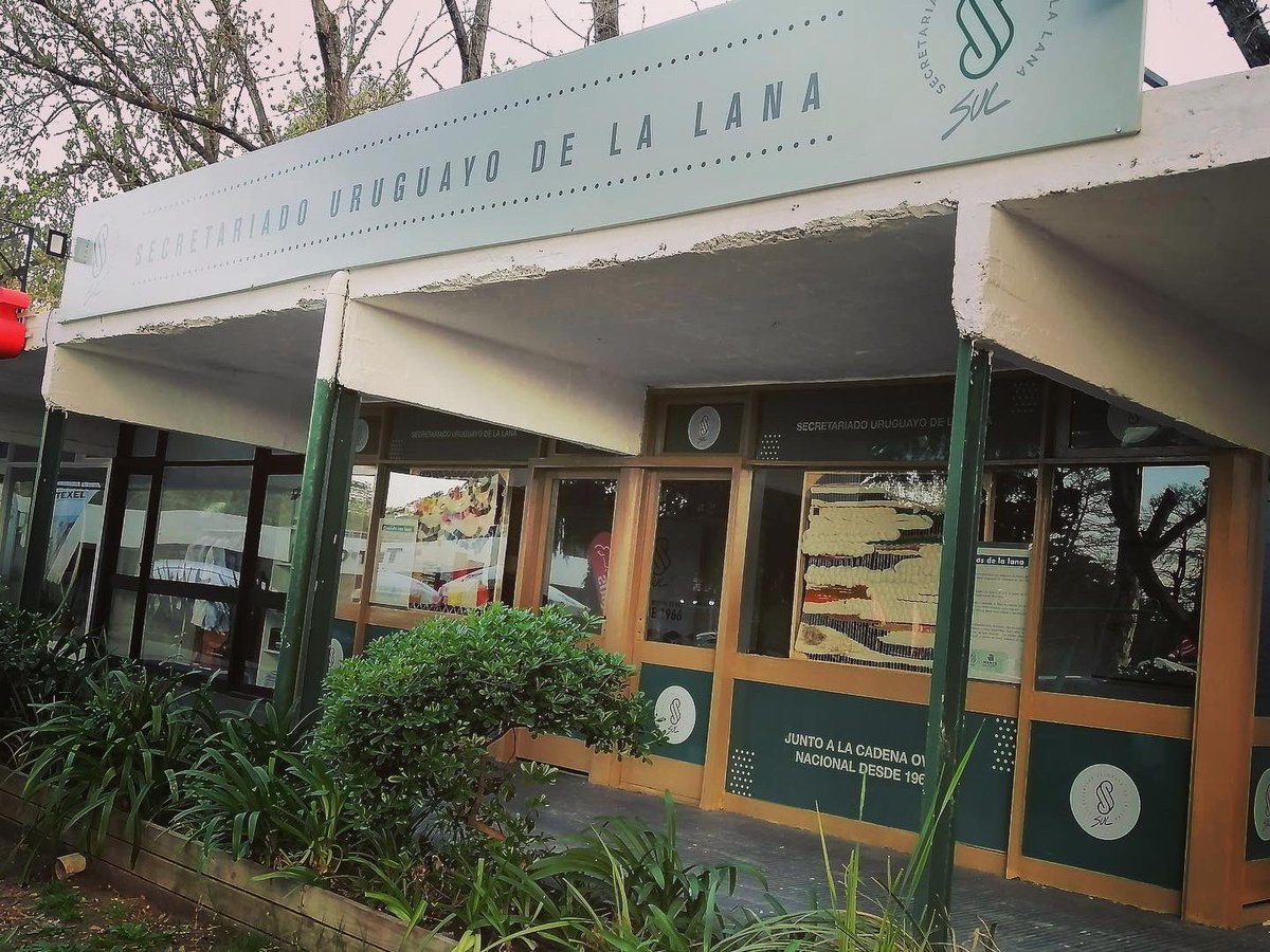 Creativ_Agencia's tweet photo. Muchas gracias @SUL_uy por la confianza para el diseño y producción del stand en una nueva @ExpoPrado 
#stand #expoprado #ovinos #lanas #telares https://t.co/FQ8QJK06yu
