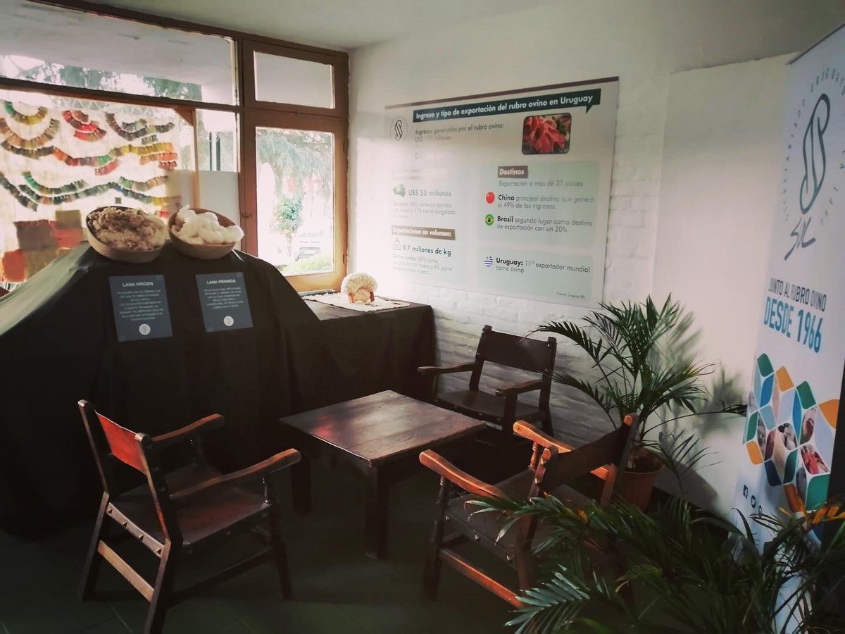 Creativ_Agencia's tweet photo. Muchas gracias @SUL_uy por la confianza para el diseño y producción del stand en una nueva @ExpoPrado 
#stand #expoprado #ovinos #lanas #telares https://t.co/FQ8QJK06yu