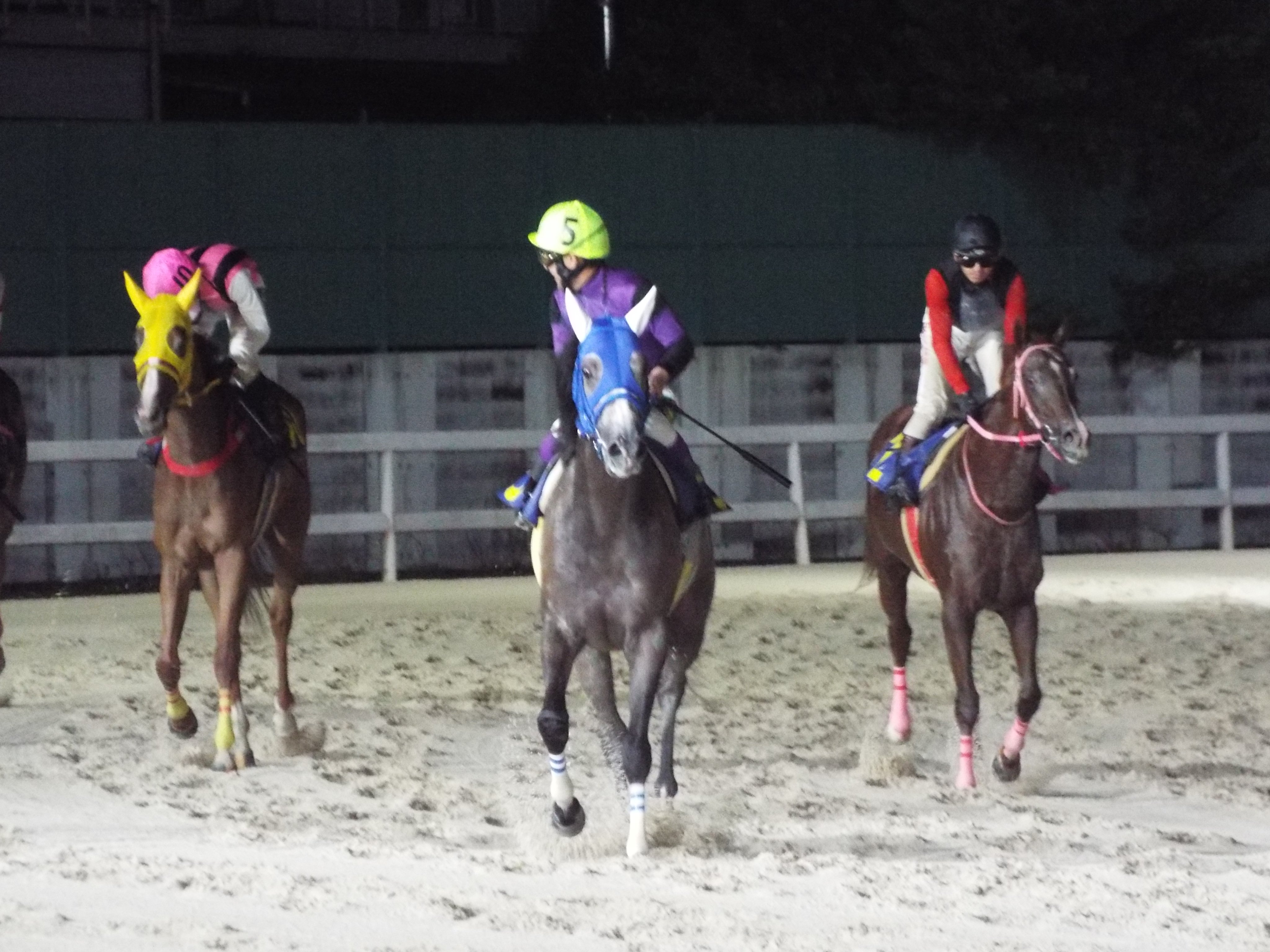 そのだメール☆ひめじメール on Twitter 