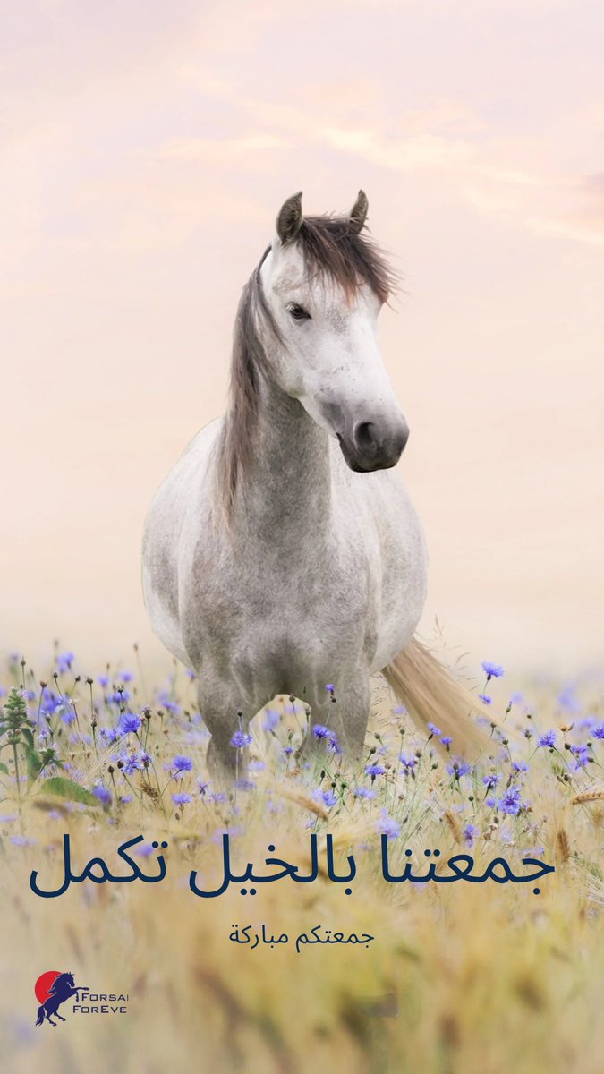 جمعتنا بالخيل تكمل 
#خيل #جدة