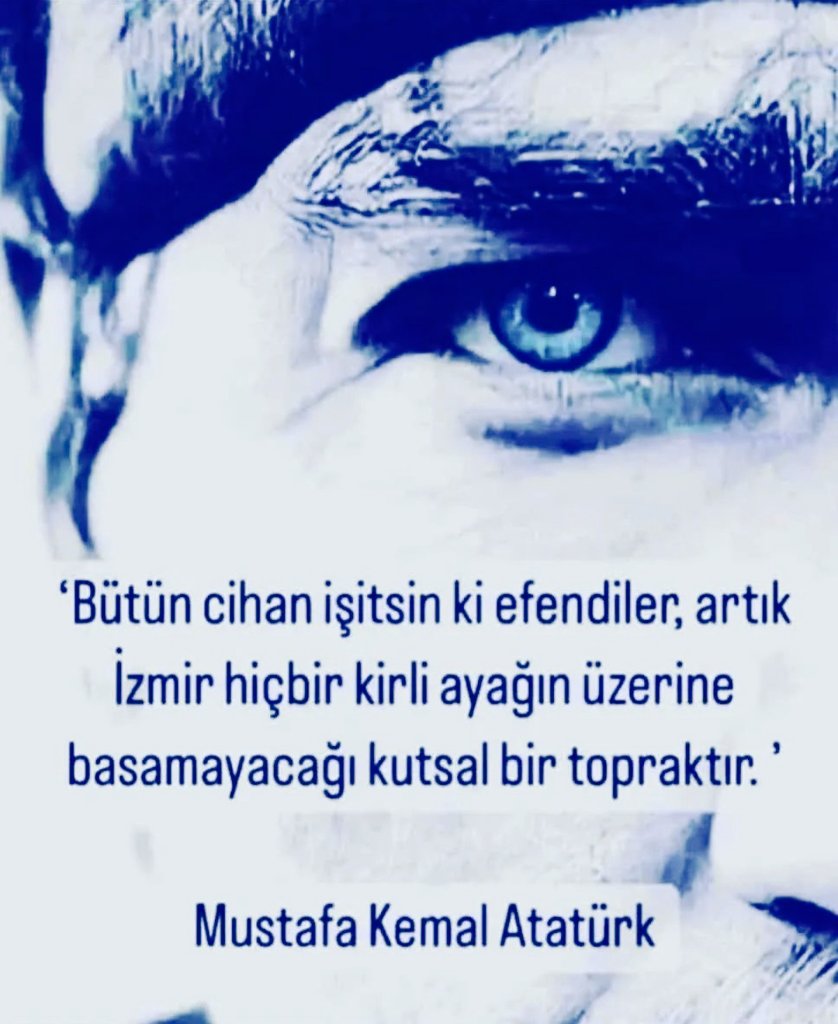 selim cüre tweet media