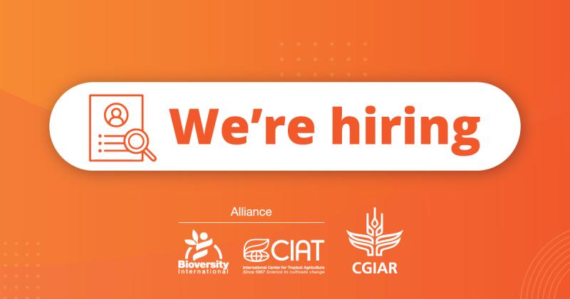 #jobalert
We (CGIAR) are hiring

- Gender and Climate Security Scientist
- Climate, Peace and Security Policy Scientist
- Economist for Climate Security

all with a strong focus on migration.

 lnkd.in/dY92_6Wq

#climatesecurity #migration #climatecrisis