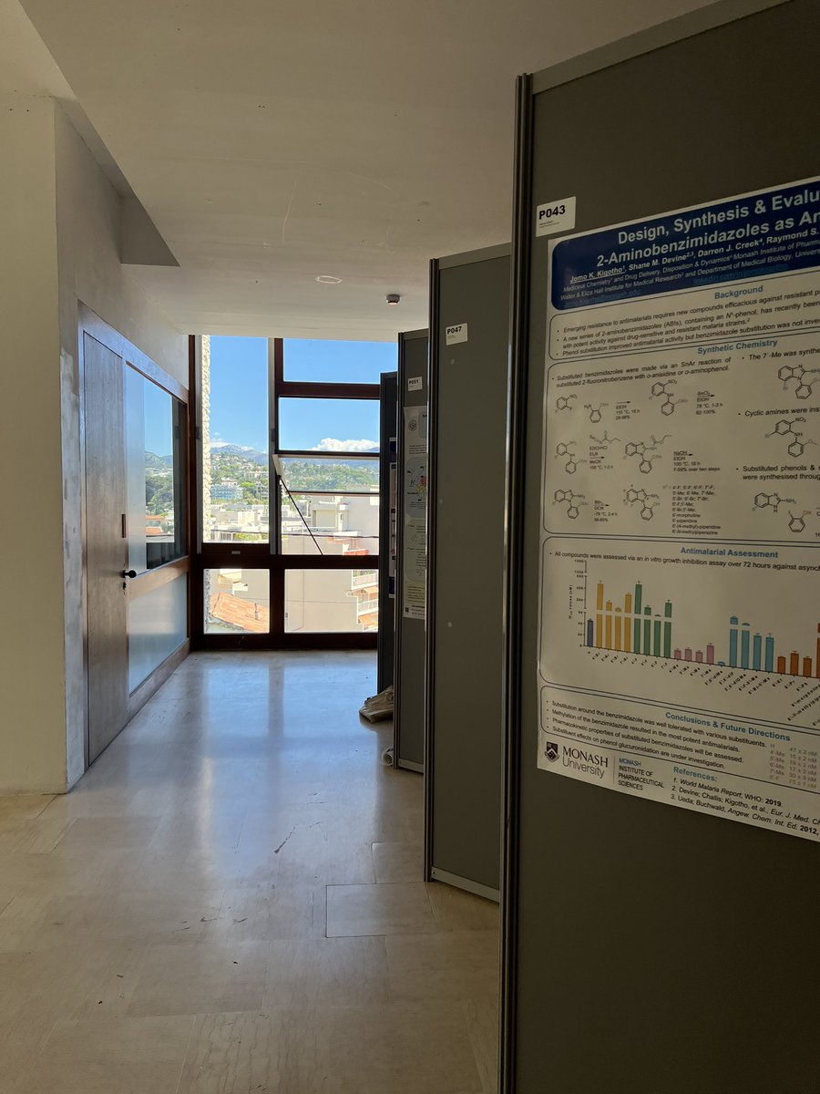 JomoKigotho's tweet photo. Getting to present at my second poster session for the week at #EFMCYMCS22 and I still can’t get over how good the view is in the background https://t.co/LelkWslocd