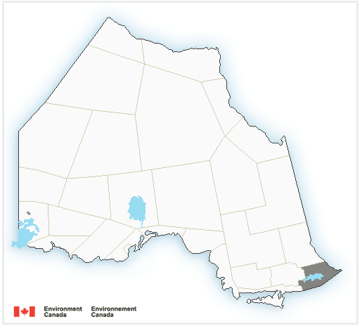 ON511NordEst's tweet image. Avis de #brouillard pour l'Ontario – nord: des zones de #brouillard dense se sont formées; devrait se dissiper plus tard ce matin. Les déplacements sur certains tronçons #RTE522 et #RTE69 pourraient être dangereux en raison de la visibilité réduite. ow.ly/lNc750KFjRT