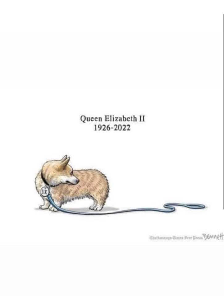 Tony Johnstone tweet media