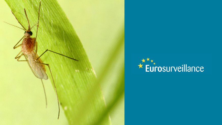 Eurosurveillanc's tweet photo. @ECDC_EU @EU_Health @WHO_Europe Rapid communication

Rapid increase in neuroinvasive West Nile virus infections in humans, 🇮🇹 July 2022

🦟https://t.co/AOHi3xNI7N

#WestNile #WNV #WNF #vectorborne #mosquitoes 
@flaric76 @albertomateou @istsupsan https://t.co/aQqZ7wdYb1
