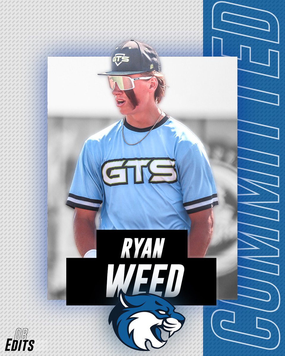 Ryan Weed tweet media