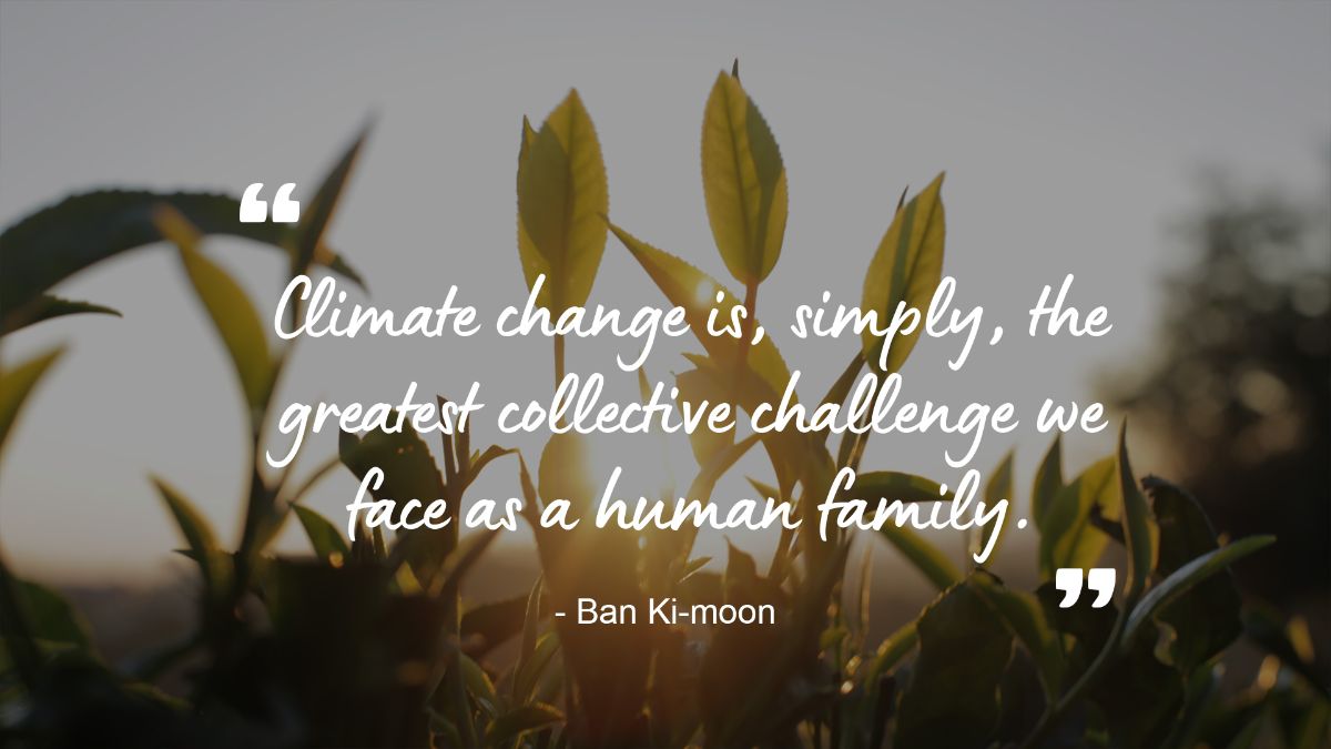 FairtradeGemeenteNL tweet media