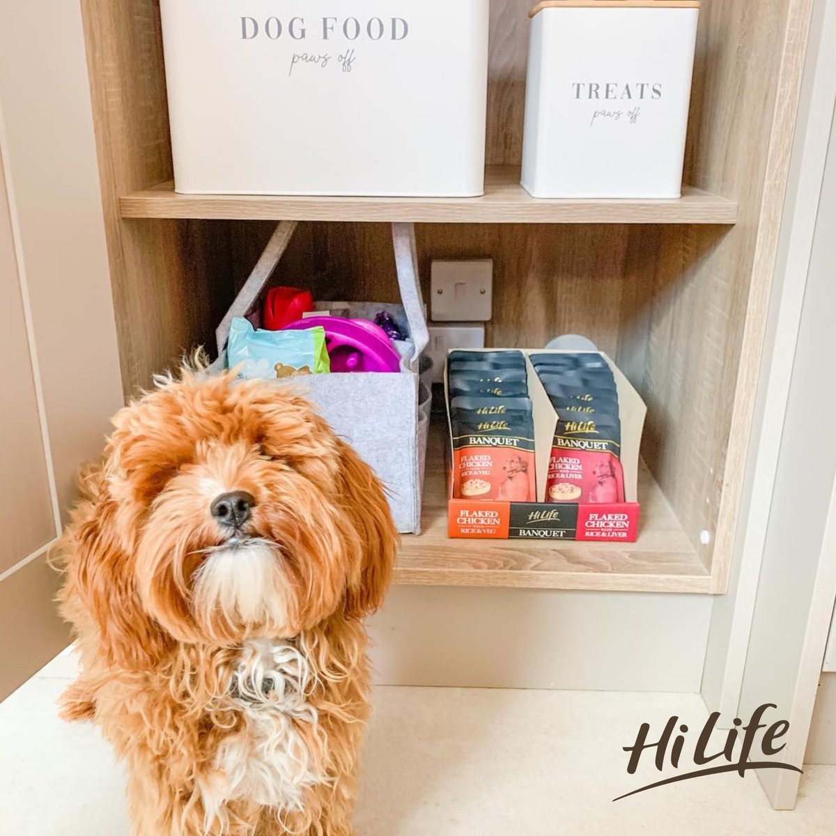 HiLife Dog Food tweet media