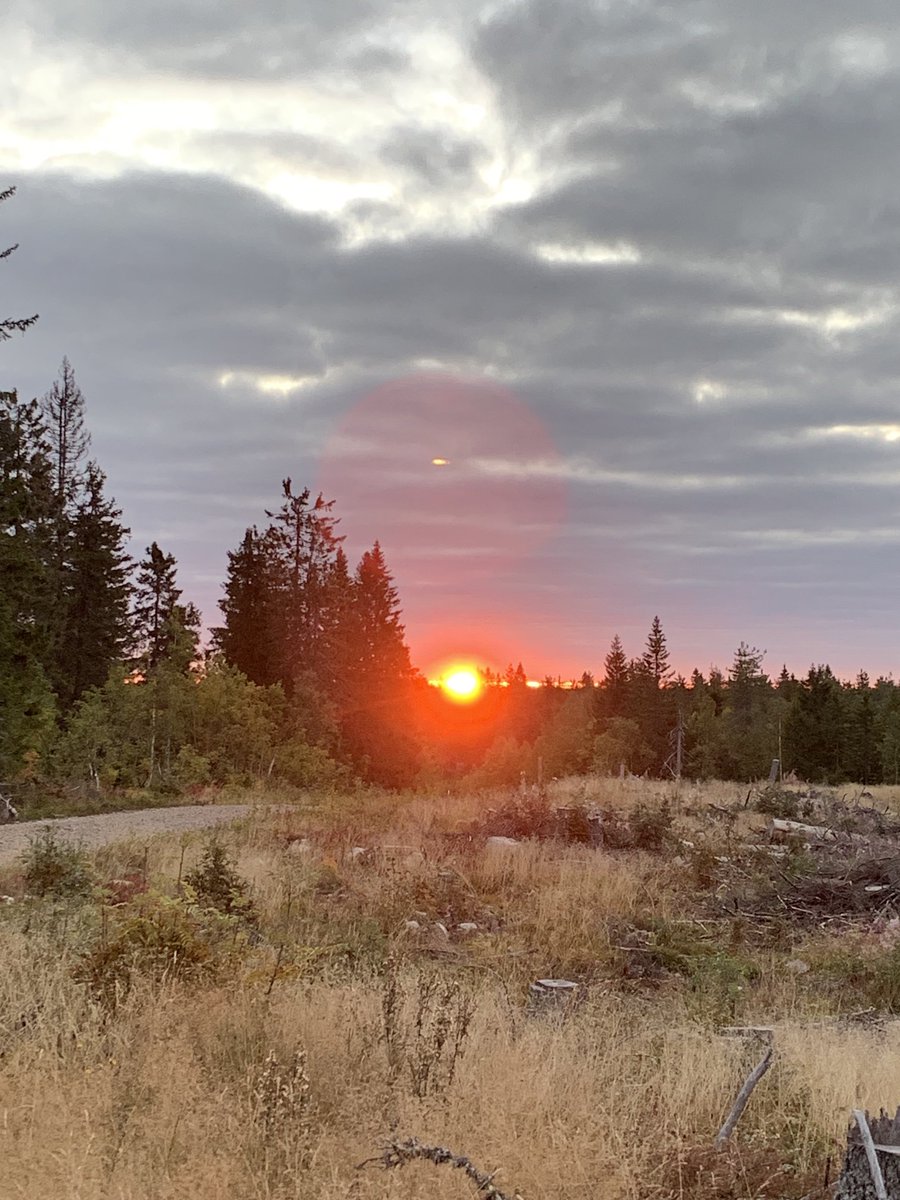timojaho's tweet photo. Olipas mielenkiintoinen työvuoro. Tehtävä tuli puolenyön jälkeen ja kesti aamuun asti. Upeinta oli tehtävän onnellinen päättyminen ja tämä #auringonnousu tuoma valo. #vaarojenhallitsija #arjenturvaaja #kaipe https://t.co/11m6y1r7Hu