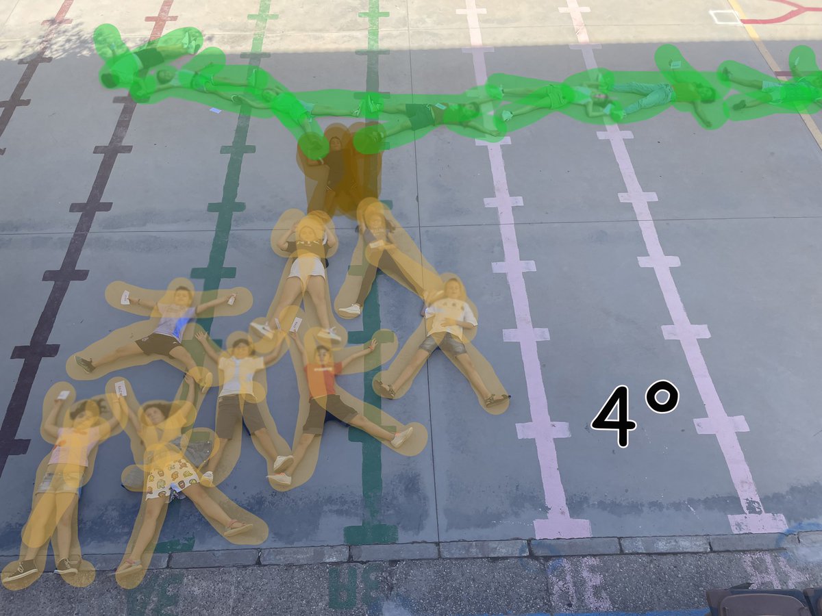 gustavolorente1's tweet image. 1°Empezamos😁ÁRBOL CORPÓREO. 🌳🌴🌲🎄Cada clase tendrá el suyo, será único. Actividad de reencuentro y #percepciónespacial. Se pueden hacer diferentes dejando libertad de organización. #edufis #phsyed #claustrovirtual #Educacion #school #escuela #PODIUMEF @piEFcitosCaMiNo