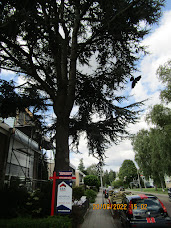 jan de jong tweet media