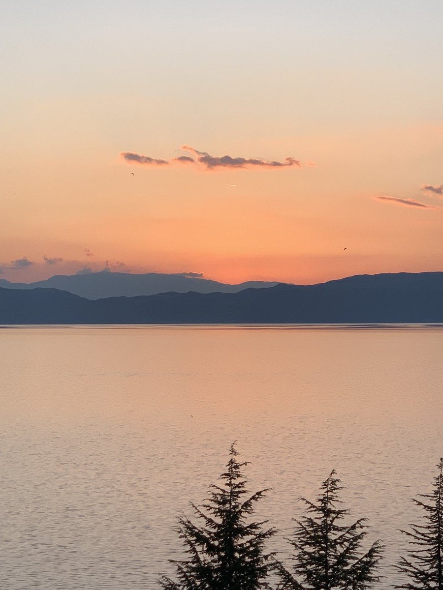 Dr Rachel Kinsman tweet media