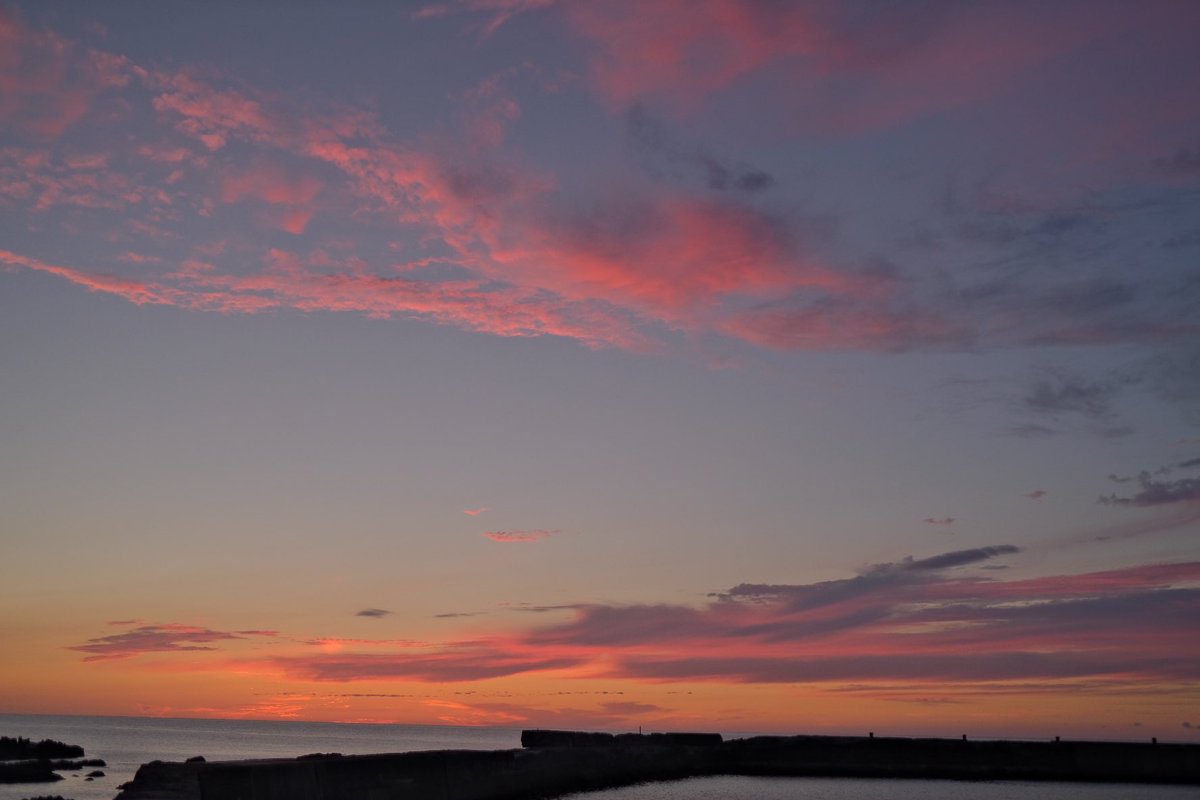 Yiwen (@tictac1016) on Twitter photo 