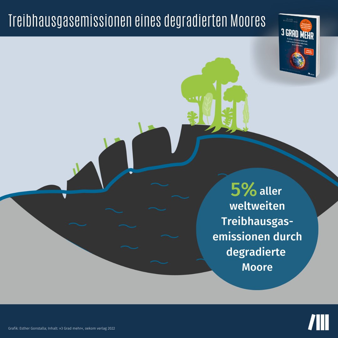 oekomverlag's tweet photo. »#Moore haben das Weltklima über die letzten 10.000 Jahre um etwa 0,6 Grad Celsius gekühlt und gelten damit als als globale Kohlenstoffsenke. Doch immer mehr Moorböden entwässern ... «

– Prof. Dr. Hans Joosten (Biologe &amp; Experte für Moorkunde und Paläoökologie) in #3GradMehr https://t.co/yPoV0Ffj6v