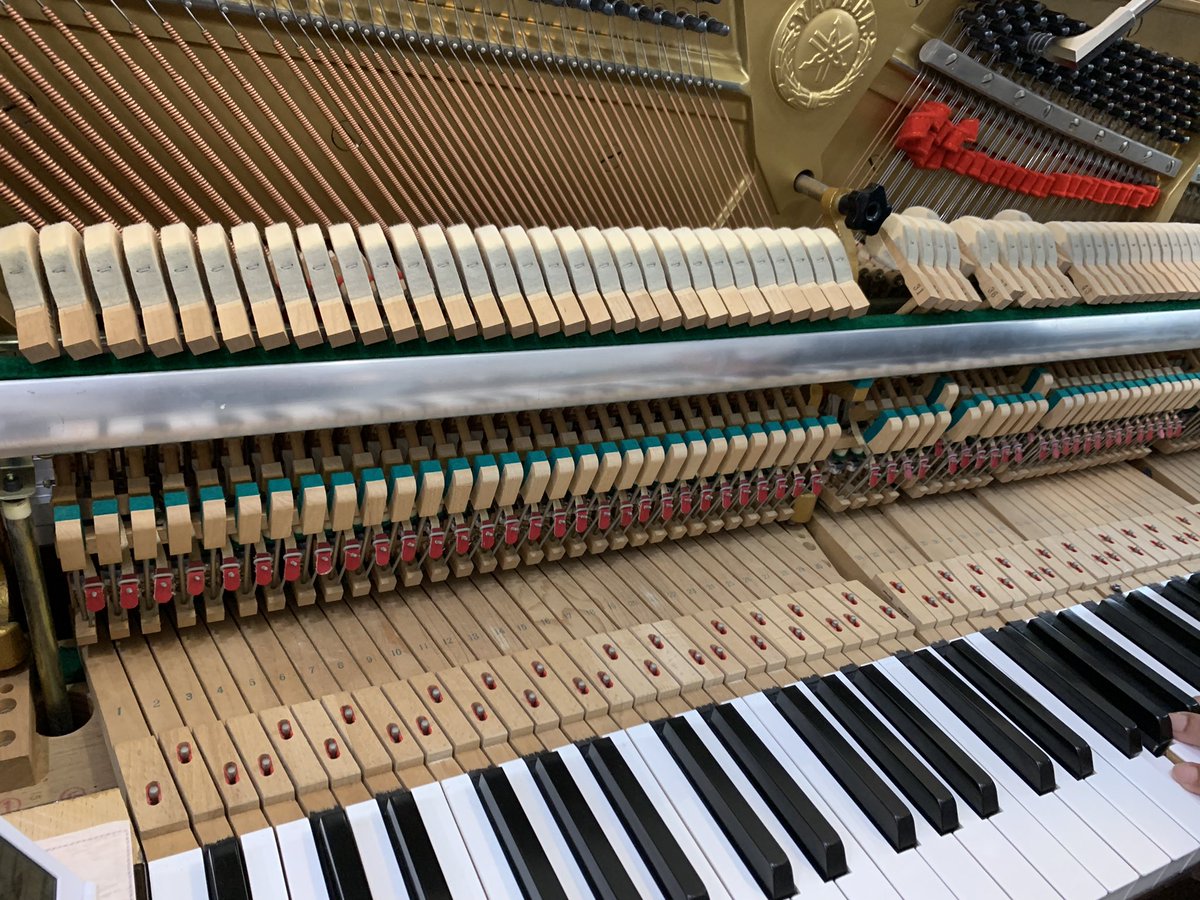drumsyuu's tweet photo. 今日は調律をしてもらってピアノが喜んでます🎹ペダルも綺麗にしていただいて嬉しいです✨ https://t.co/dEibiK7ySX