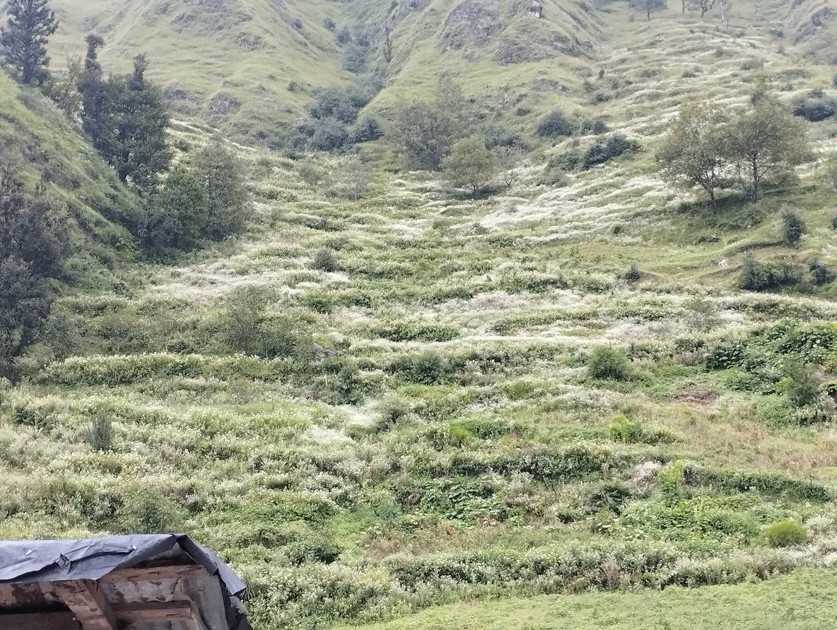 #Uttarakhand  
#jankichatti  
#yamnotri 
#MaaYamuna