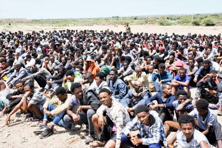 Alert!

Adiss Police have a plane with Federal police to detention of Tegaru they live in the city and to inspect them. 

Report's said, they are in highly preparing of mass detention like last year. 
<a href="/amnesty/">Amnesty International</a> <a href="/hrw/">Human Rights Watch</a> <a href="/SecBlinken/">Secretary Antony Blinken</a> 
Pic : Civilians as POW. Propaganda