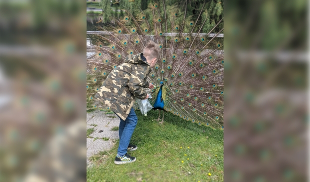 Kinderopvang Partou zet zich in voor kinderboerderij de Trotse Pauw in Spijkenisse -  grootnissewaard.nl/nieuws/algemee…