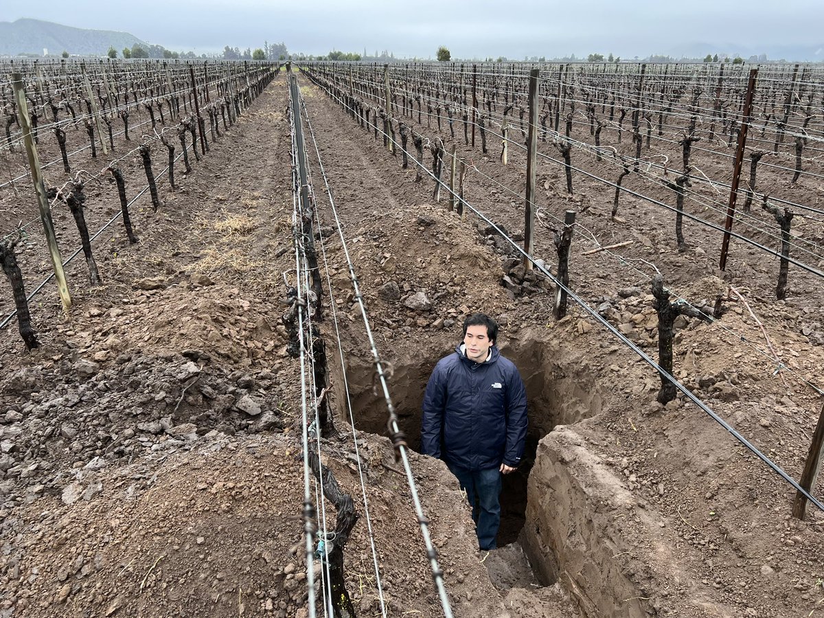 Jamie Goode tweet media