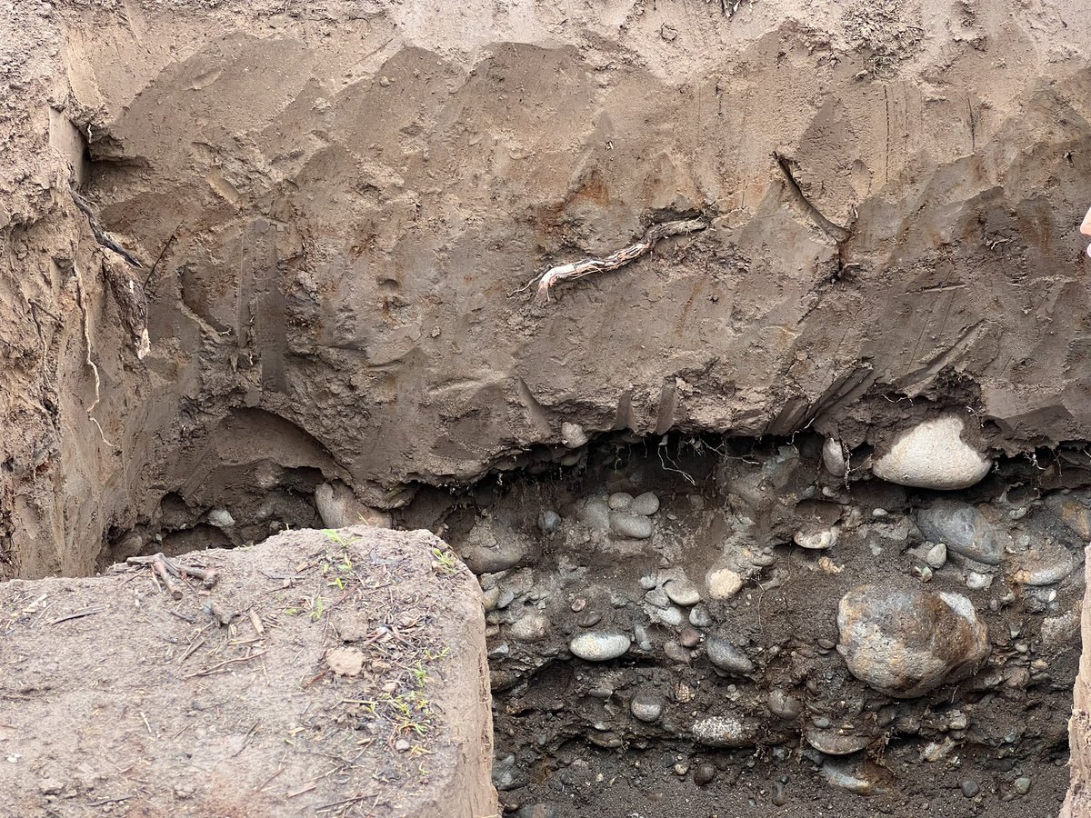 Jamie Goode tweet media