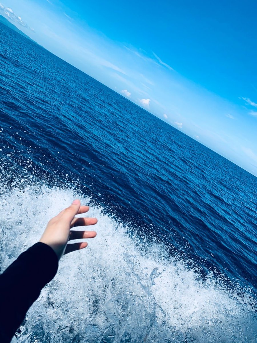 LIJESS4 tweet picture