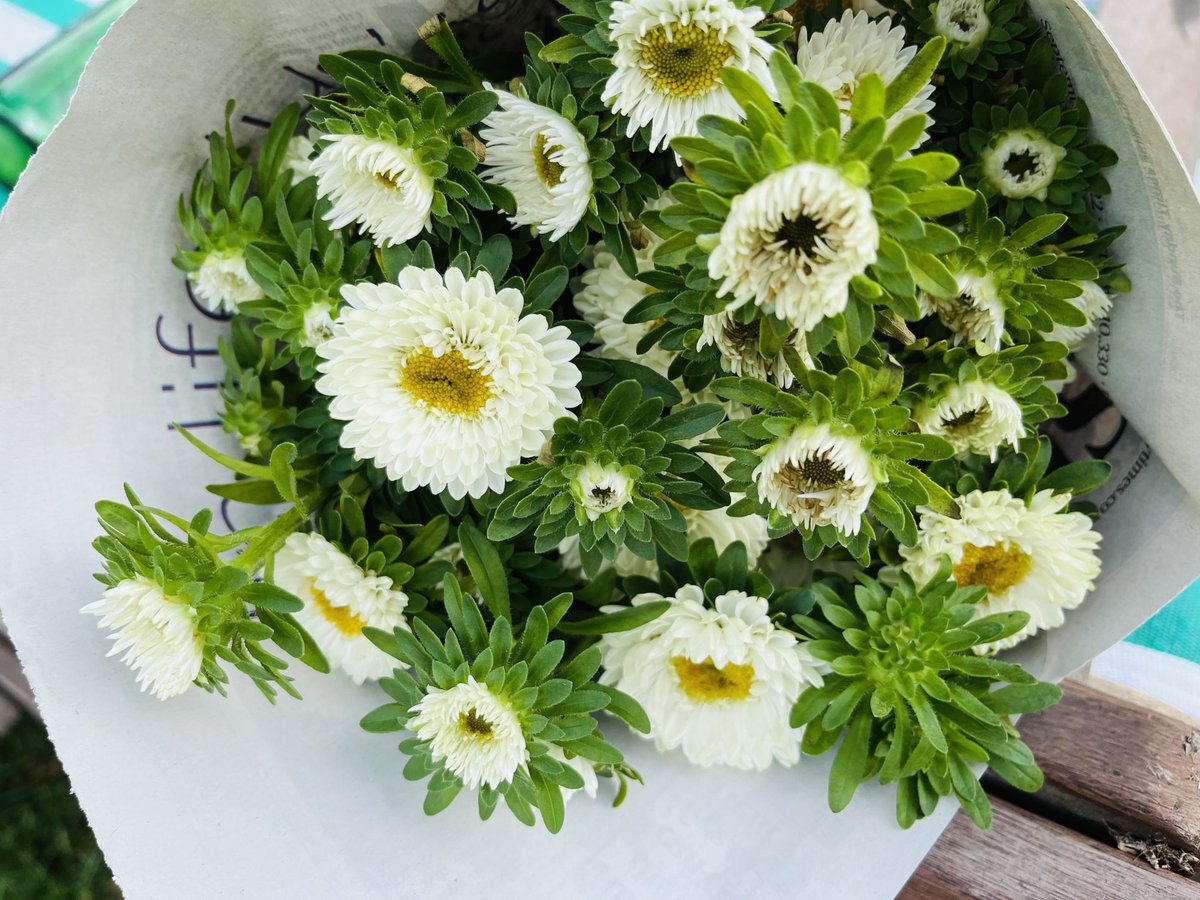 I’m laying flowers at Buckingham Palace as the Gun Salute rings out. I’m covered in goosebumps.  RIP Queen Elizabeth.