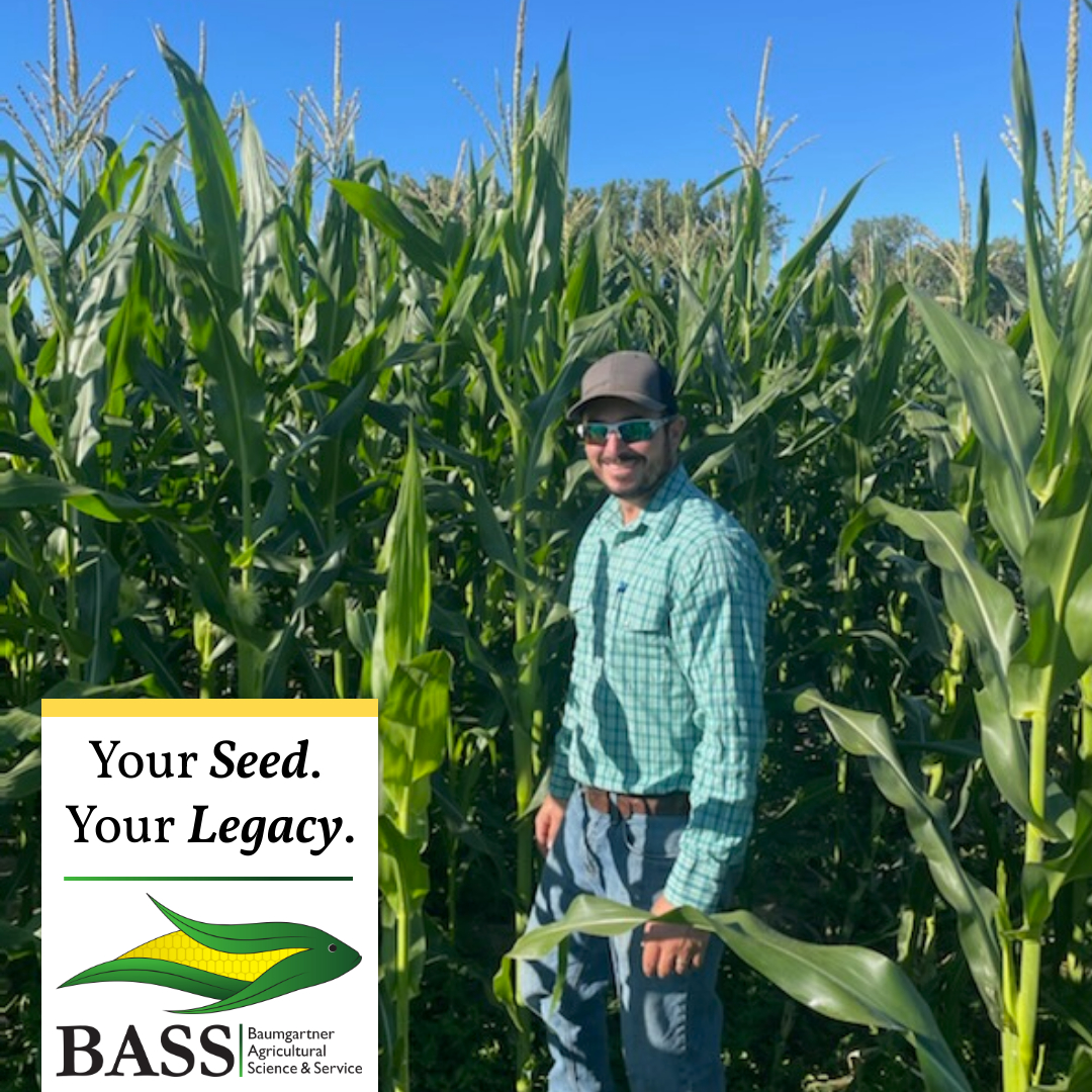 BASS Hybrids is helping farmers put money back in their pockets by saving on input costs and letting you take back control of your farming operations. With our unconventional conventional hybrids, you’ll experience seed savings for an increased yield: basshybrids.com