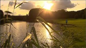 Gebiedstip: 
Het enige bosgebied van formaat bij Dronten meet toch maar 85 ha. Een uitgebreid wandel- en fietspadennet ontsluit het dorpsbos. Het beheer wordt gedaan door enthousiaste bewoners die zich verenigd hebben in Stichting het Wisentbos.