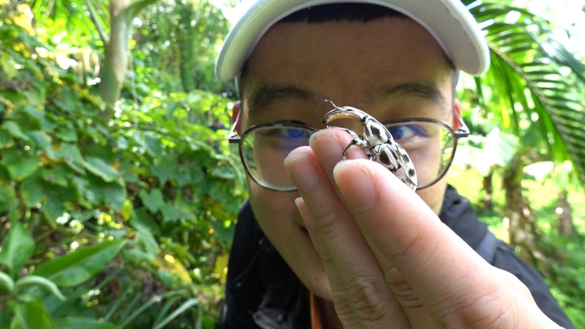 皮特玩自然 tweet media