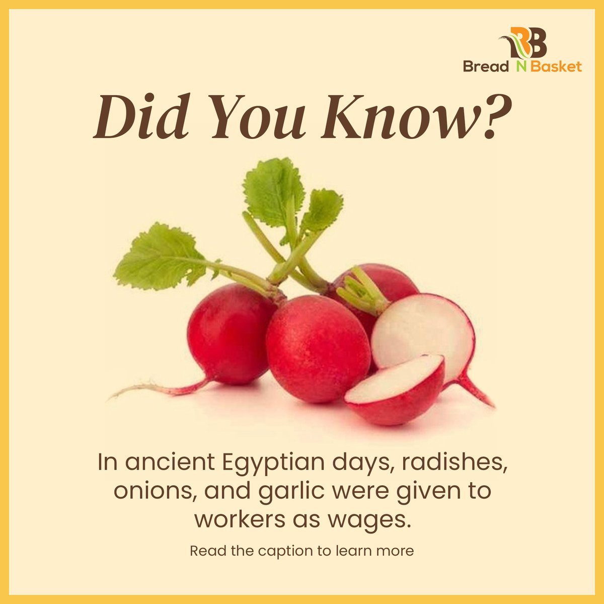 BreadNBasket's tweet photo. Radishes specifically were because they helped with infectious diseases!

#radish #onion #garlic #rootvegetables #ancientegypt #foodwages #egyptianremedies #egyptiancivilization #foodblogger #foodfacts #breadnbasketofficial https://t.co/8ZXuKaGwus