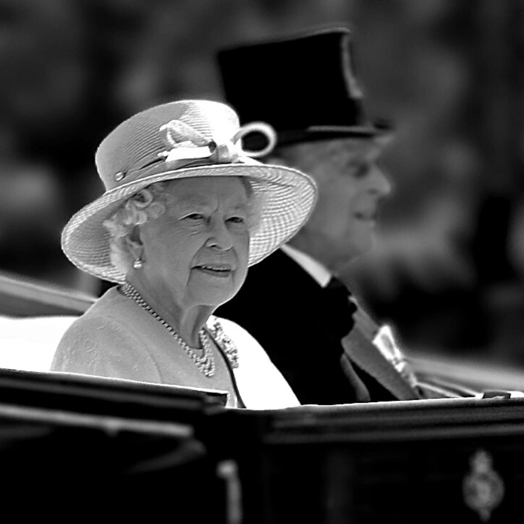 Connect Digital tweet media