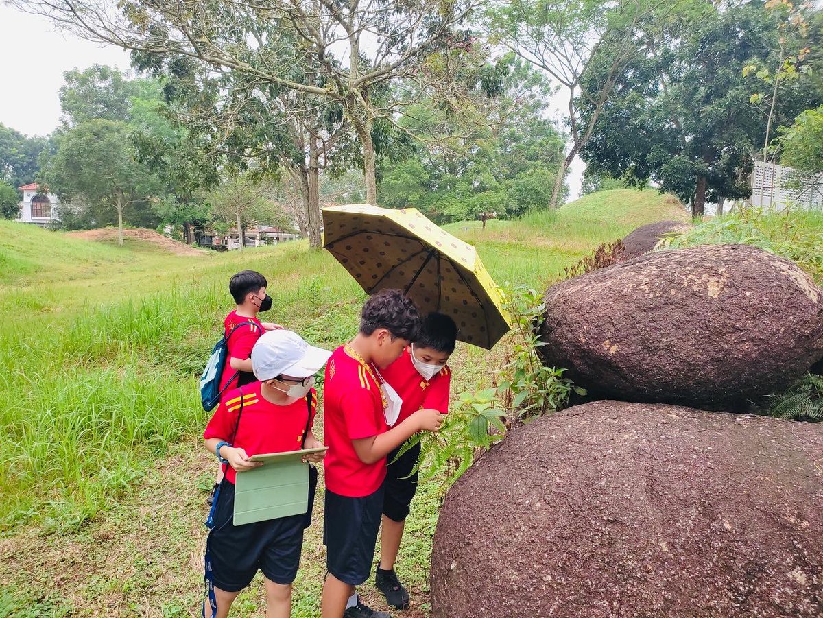 @CHISprimary tweet media