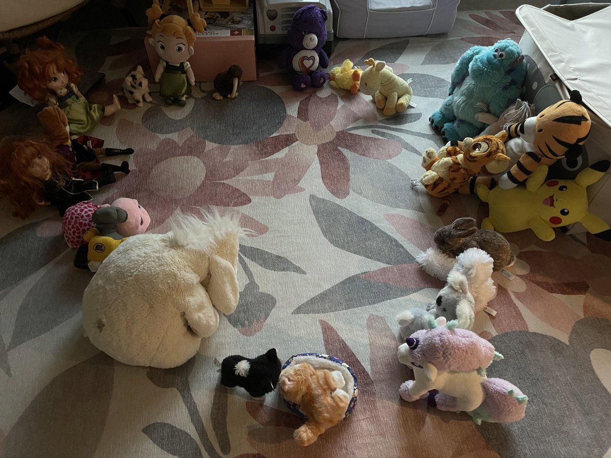 The Council of Stuffies has convened this morning.