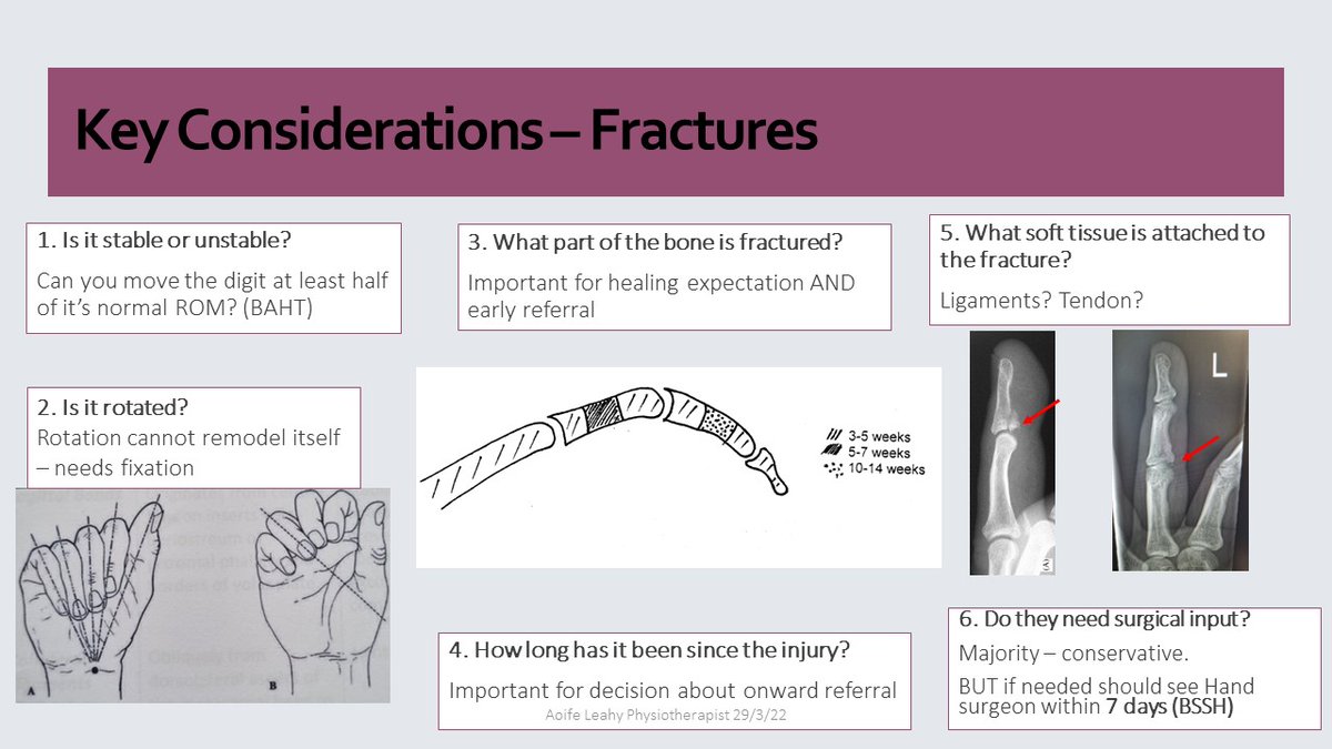 Aoife Leahy tweet media