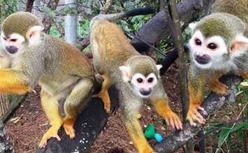 JungleFriends's tweet photo. https://t.co/e8X6dIK1EB
https://t.co/aUFYlGGBgk https://t.co/s9wFS01ToA