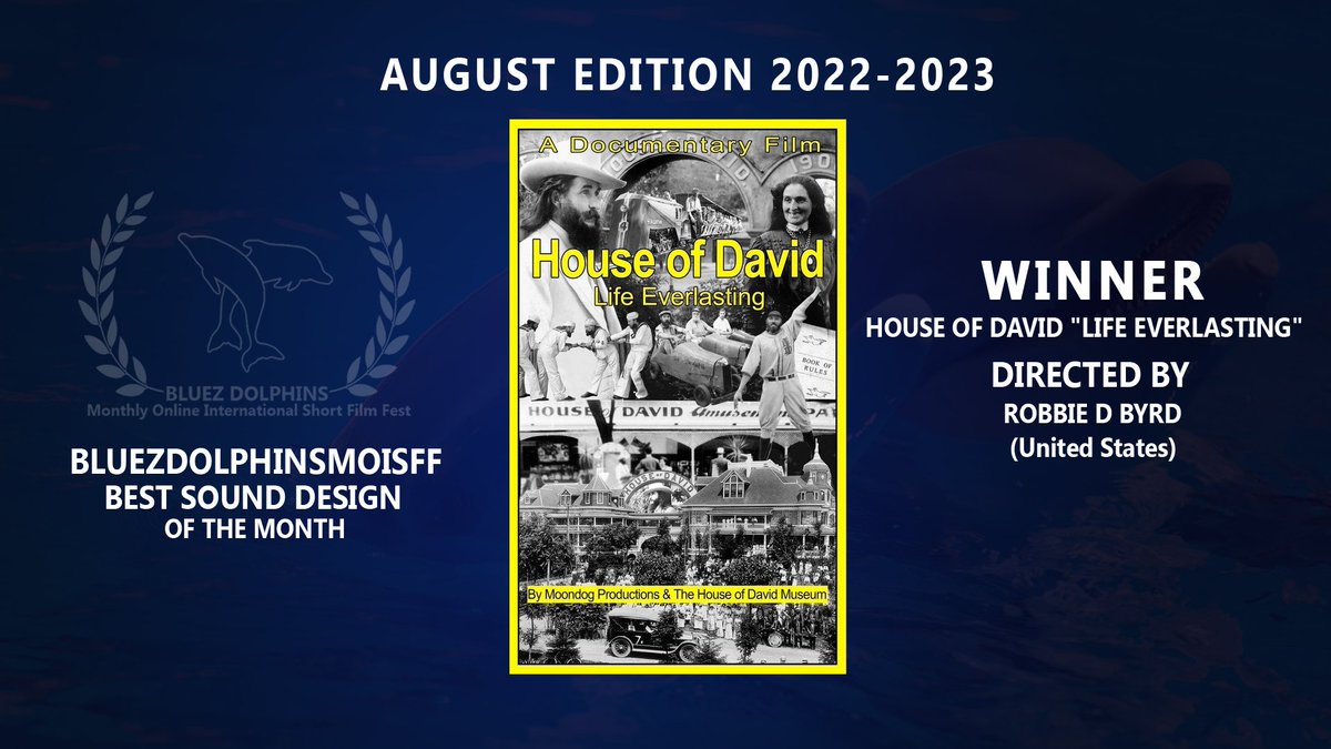BLUEZ DOLPHINS - MONTHLY ONLINE SHORT FILM FEST tweet media