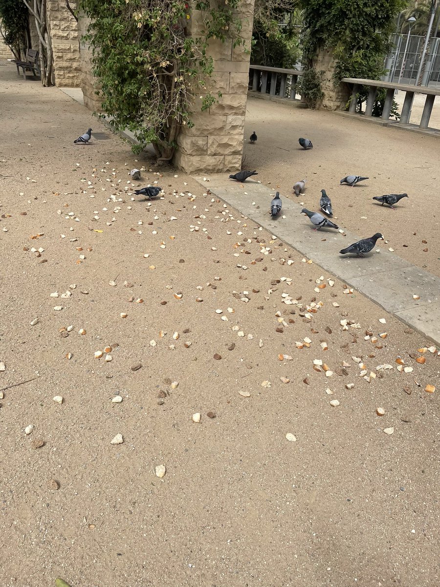 Jordi tweet media