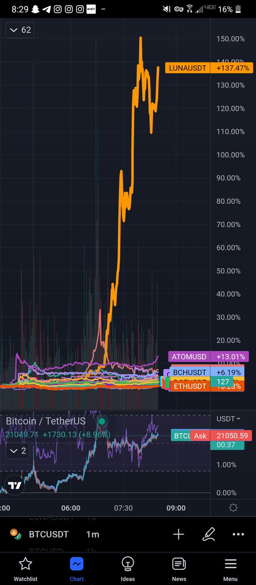 Timmy 銃🔫 tweet media