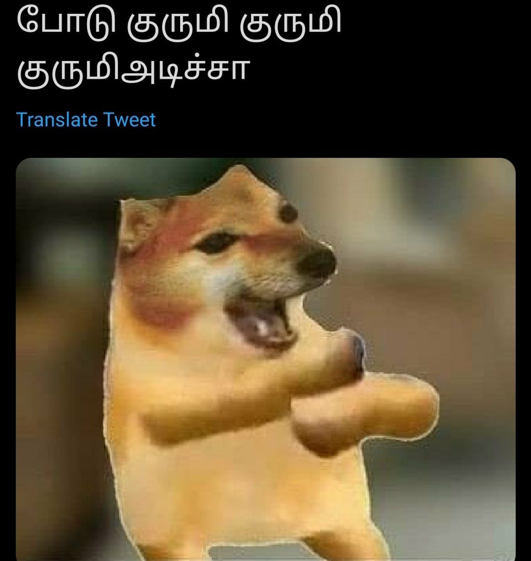 Maahi_Editz1's tweet photo. @viratstangirl18 https://t.co/UKNHXlEdEK