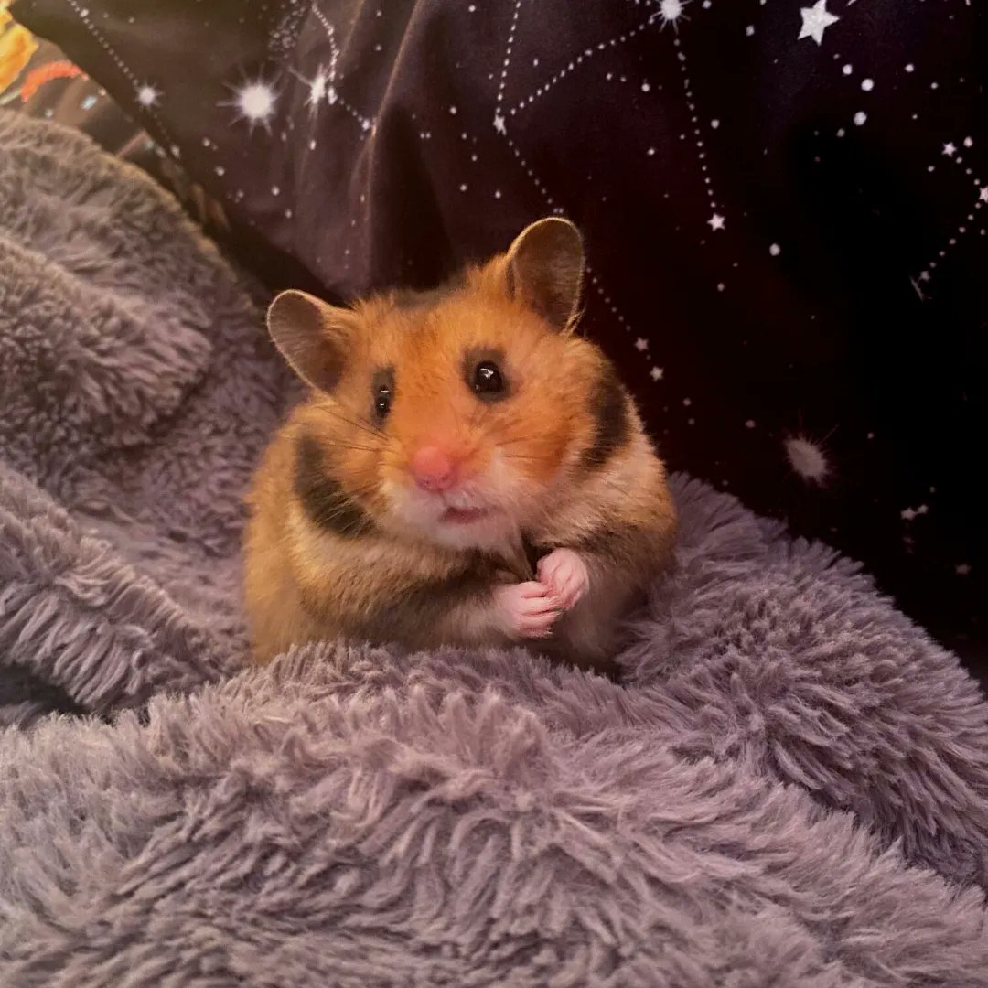 Need a pick me up on this Friday? Simply zoom in on Wynn's hands for some free serotonin 😍 Thank you to Software Engineer Em for sharing these pictures!