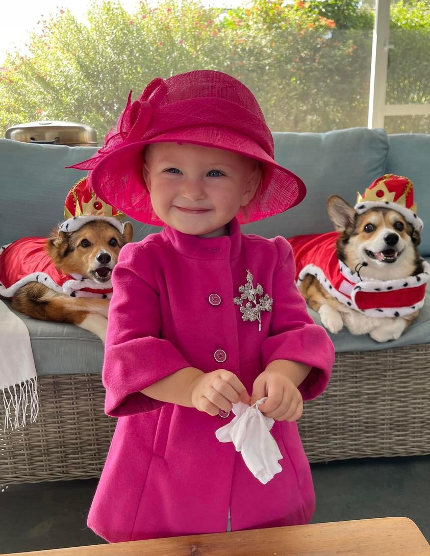 John Lundin 🌊 tweet media