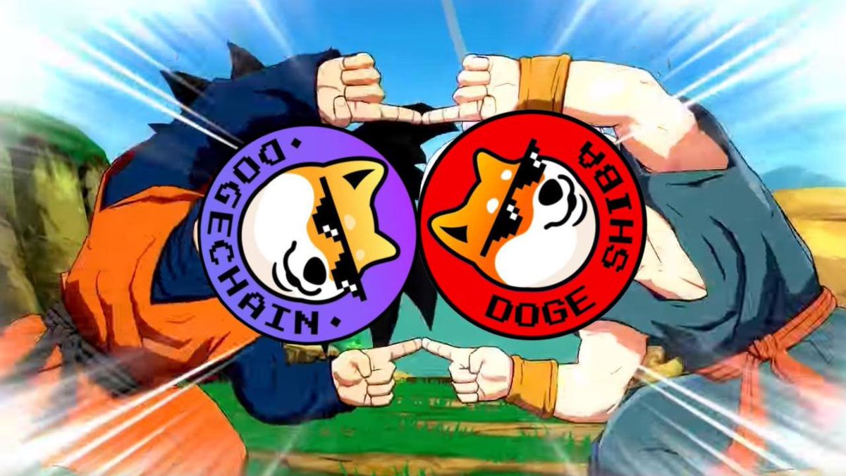 DogeShiba 🐶 tweet media