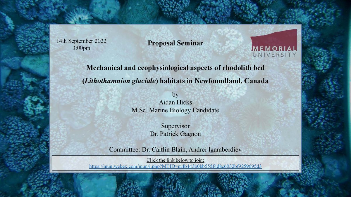 MSc Proposal Seminar
Aiden Hicks "Mechanical and ecophysiological aspects of rhodolith bed (Lithothamnion glaciale) habitats in  Newfoundland, Canada"
Sept 14, 2022 @ 3:00pm <a href="/munosgsa/">OSGSA</a> 
Click the link below to join: 
mun.webex.com/mun/j.php...