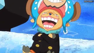 けちゃまるさんの目細めた時のあの感じはどこかで見たことあると思ってたけどさいきん中身がフランキーのチョッパーがそうだと気付きました 
