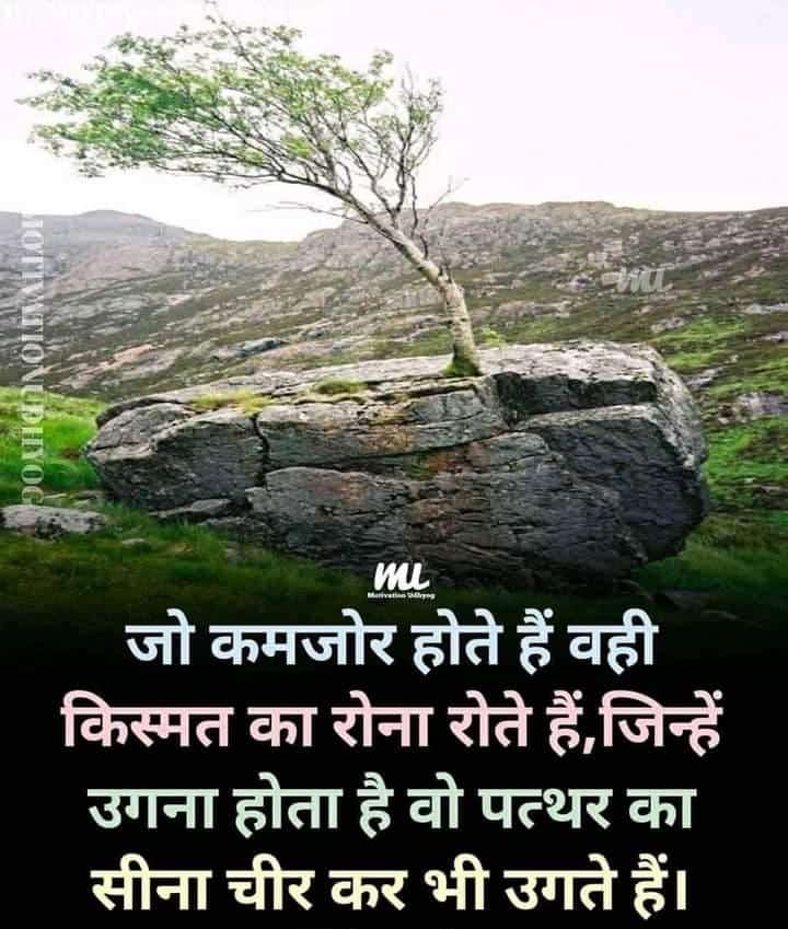 babuji thakor (@babujit57514759) on Twitter photo 