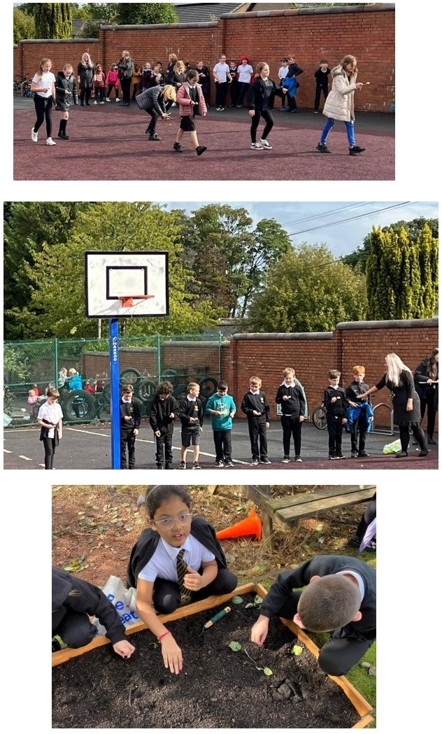 Thank you so much for donating to our Carmuirs Harvest Celebration.Falkirk Foodbank were delighted😊 We had a great day singing our harvest songs, competing in the potato and spoon race,and sewing seeds in our new raised beds. We have the right to nutritious food <a href="/carmuirsprimary/">Carmuirs Primary</a>