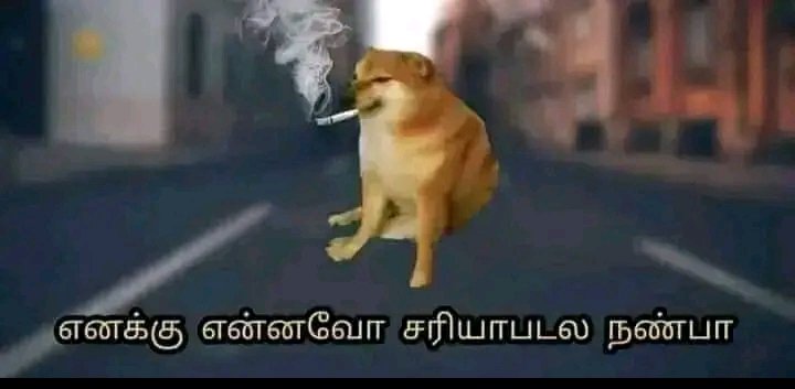Maahi_Editz1's tweet photo. @R3Rdhr https://t.co/U2mGXc7HZn